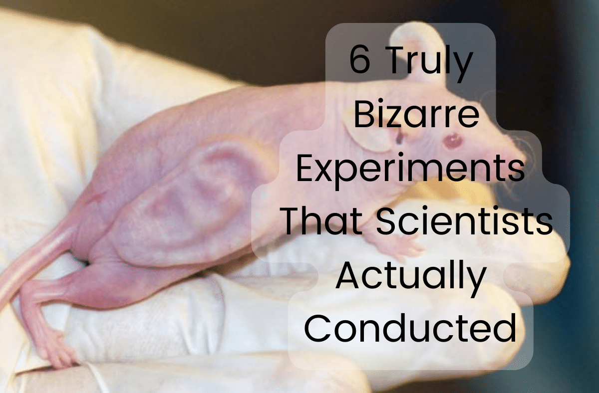 6 Truly Bizarre Experiments That Scientists Actually Conducted