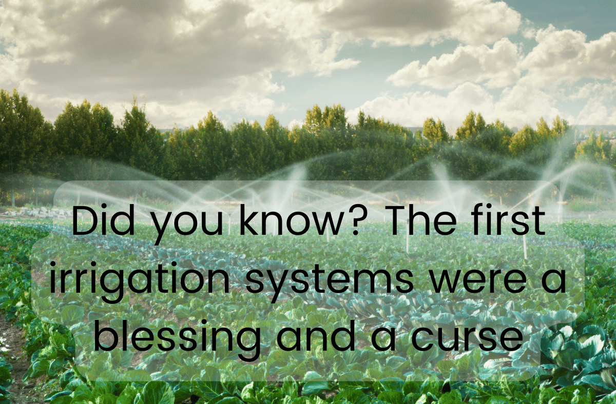 Did you know The first irrigation systems were a blessing and a curse