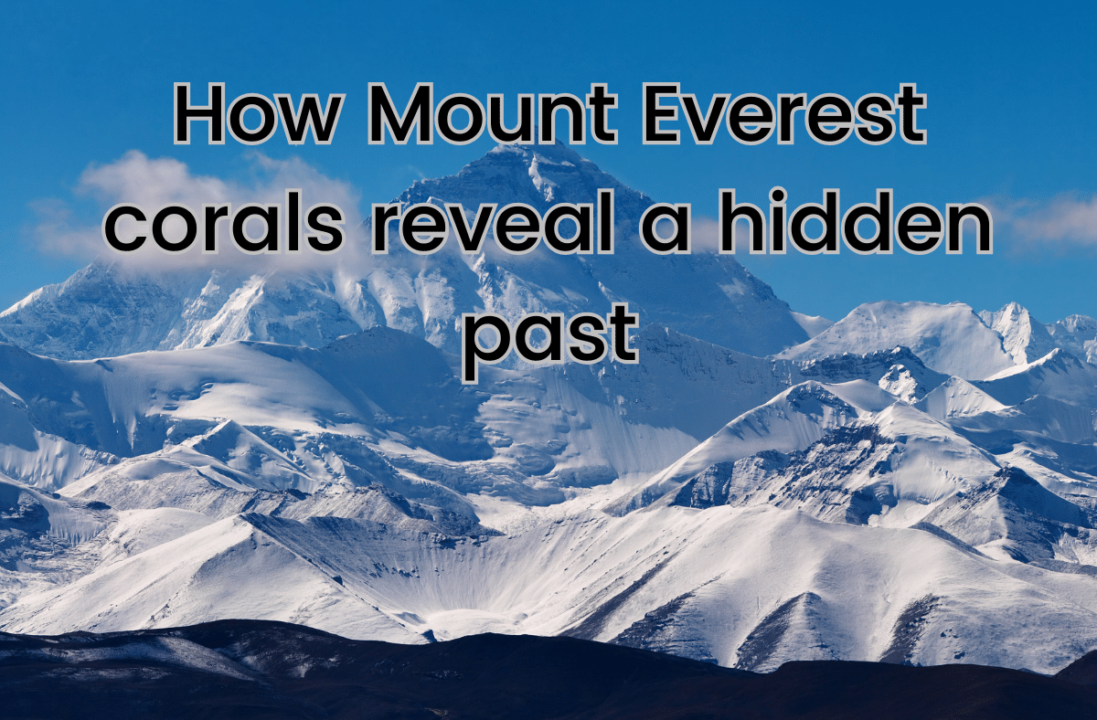 How Mount Everest corals reveal a hidden past
