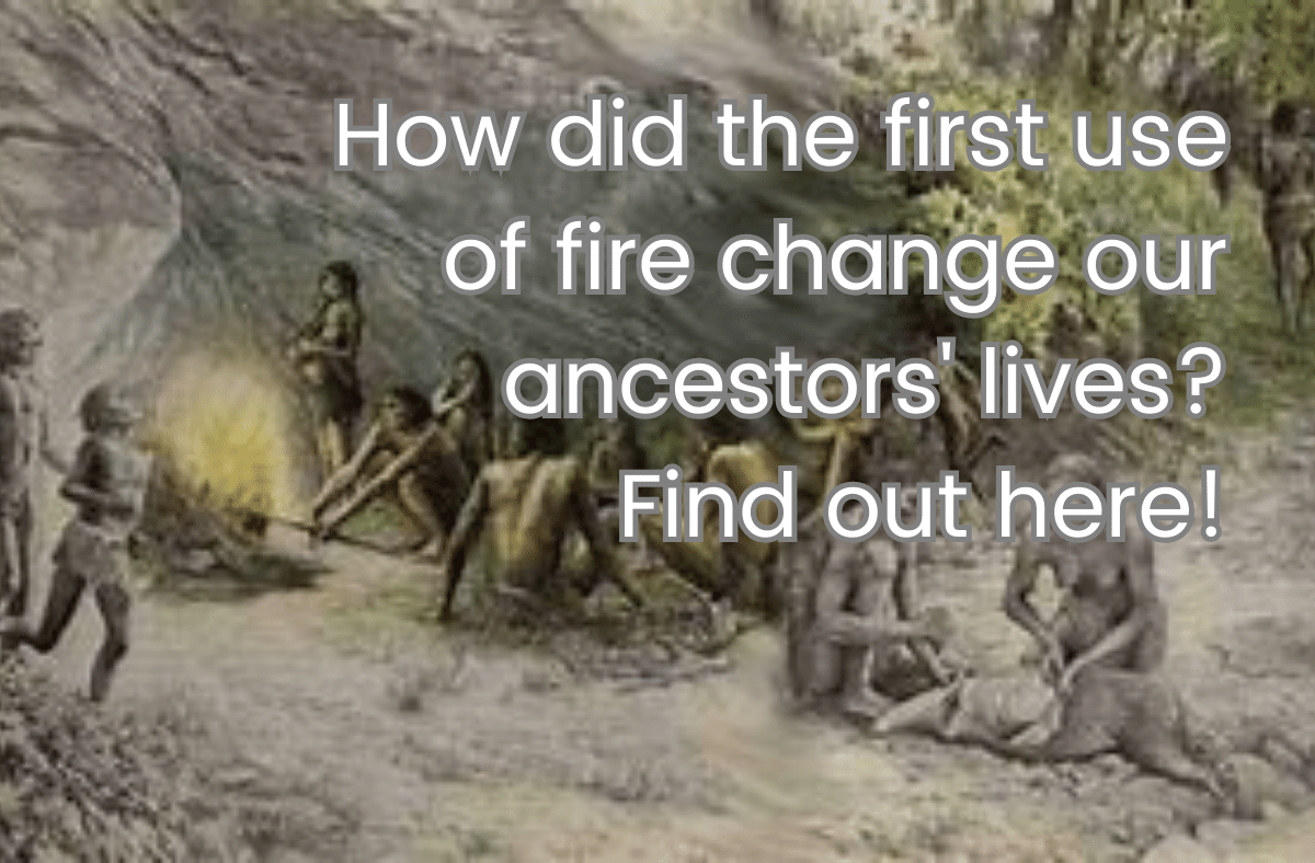 How did the first use of fire change our ancestors' lives Find out here!