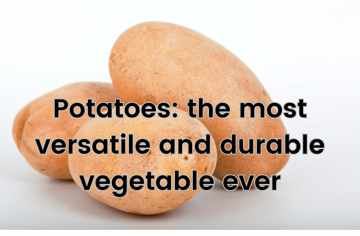 Potato the most versatile and durable vegetable ever (1)