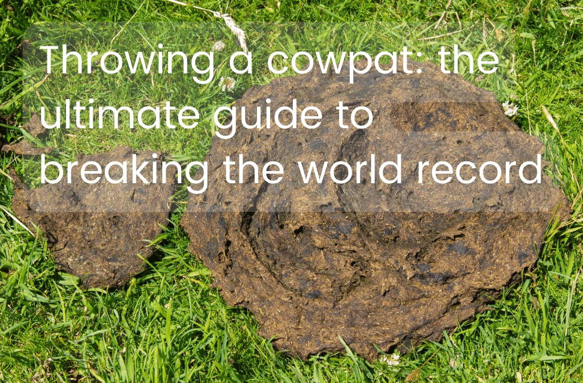Throwing a cowpat the ultimate guide to breaking the world record