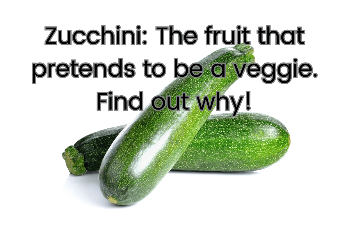 Zucchini The fruit that pretends to be a veggie Find out why!