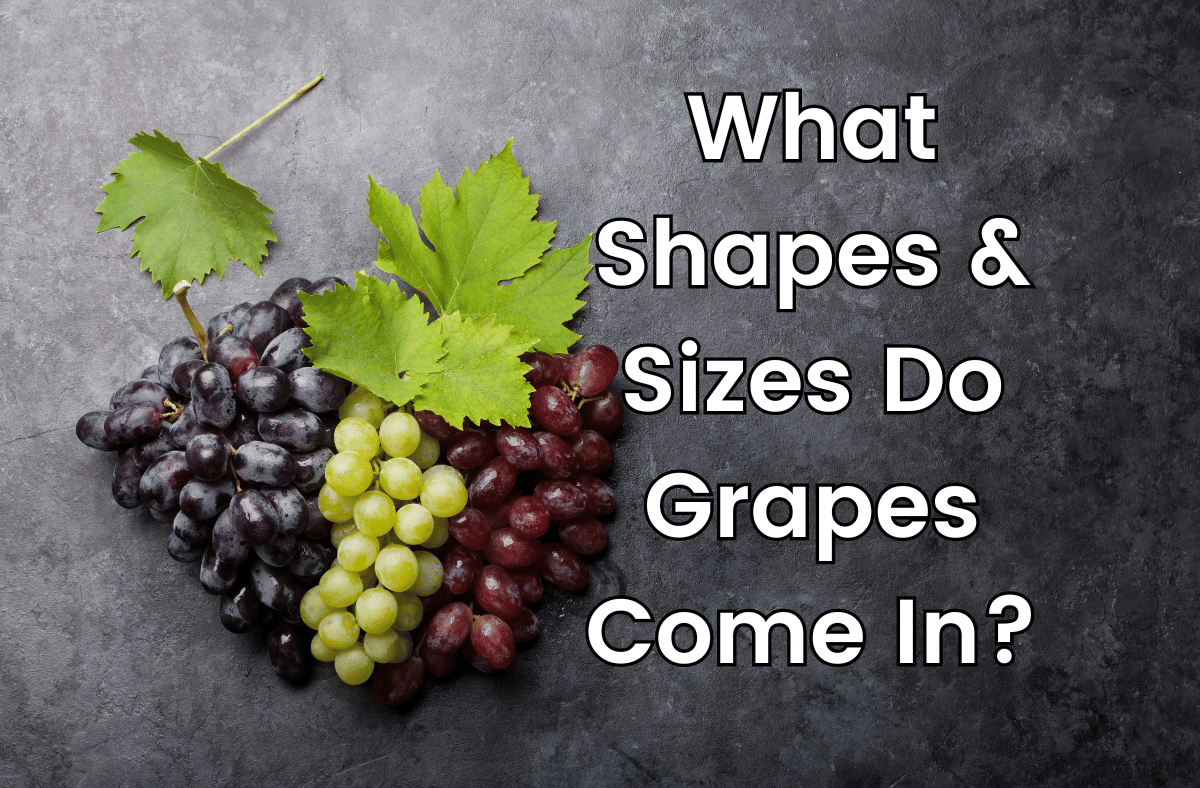 What Shapes & Sizes Do Grapes Come In
